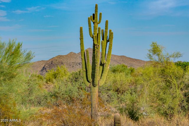 9990 E DESERT BEAUTY Drive, Scottsdale, AZ 85255