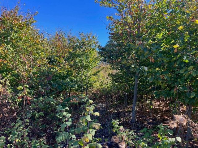 8753 Hemlock Hill Drive, Traverse City, MI 49685