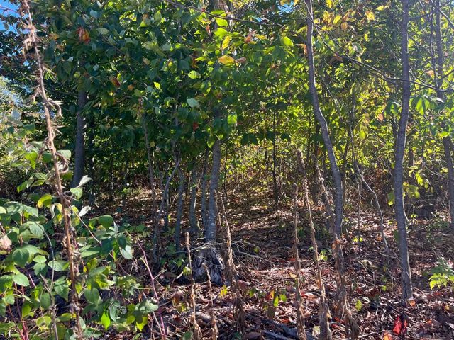 8753 Hemlock Hill Drive, Traverse City, MI 49685