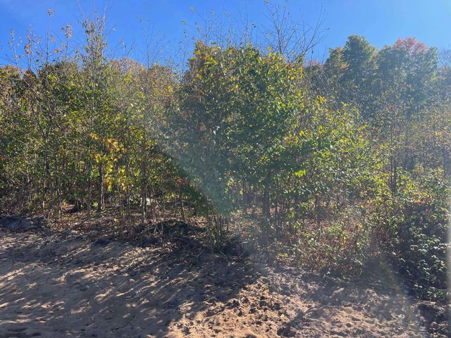 8753 Hemlock Hill Drive, Traverse City, MI 49685