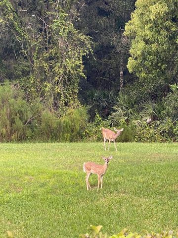 1333 SHADY PINE WAY D, Tarpon Springs, FL 34688