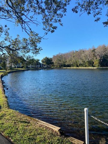 1333 SHADY PINE WAY D, Tarpon Springs, FL 34688