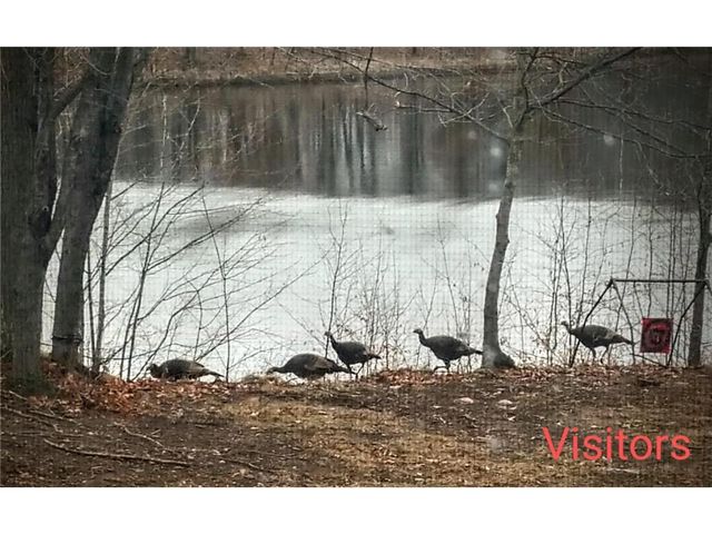 W1210 Nice Lake Road, Birchwood, WI 54817