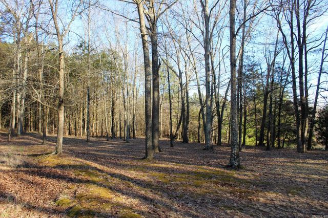 238 Salem Church Road, Judsonia, AR 72081