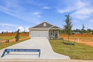 23006 Arizona Cypress Drive, Hockley, TX 77447