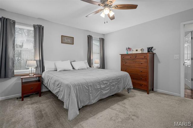 13 Feise Forest Court, O'fallon, MO 63368