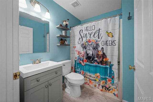 13 Feise Forest Court, O'fallon, MO 63368