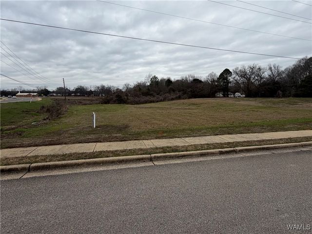 1184 Rice Mine, Northport, AL 35476