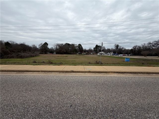 1184 Rice Mine, Northport, AL 35476