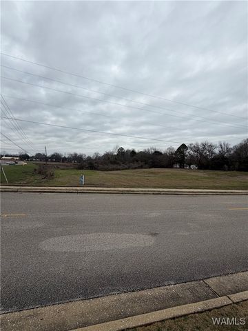 1184 Rice Mine, Northport, AL 35476