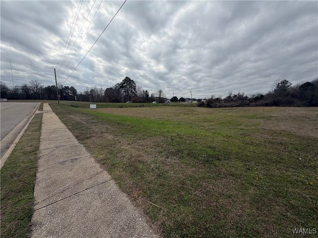 1184 Rice Mine, Northport, AL 35476