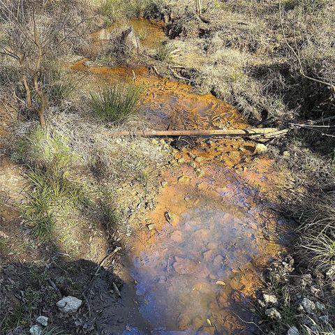 00000 Cr 102, Leona, TX 75850