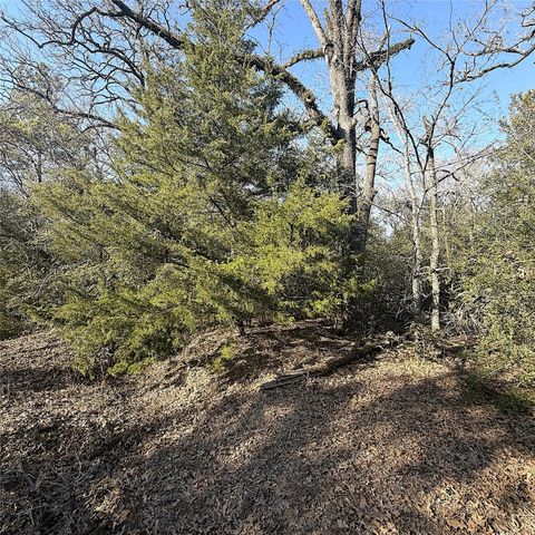 00000 Cr 102, Leona, TX 75850