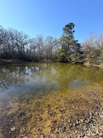 00000 Cr 102, Leona, TX 75850