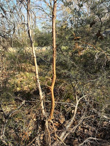 00000 Cr 102, Leona, TX 75850