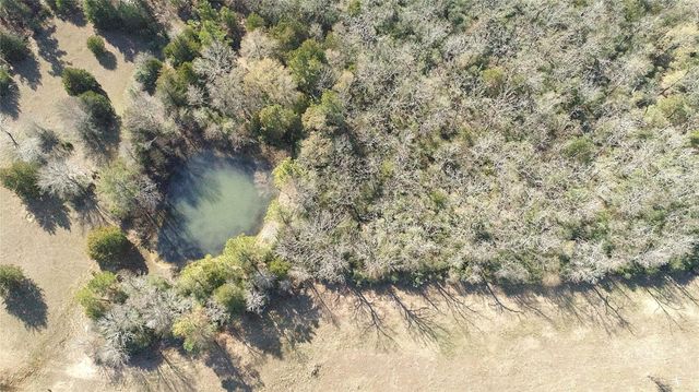 00000 Cr 102, Leona, TX 75850