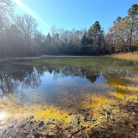 00000 Cr 102, Leona, TX 75850