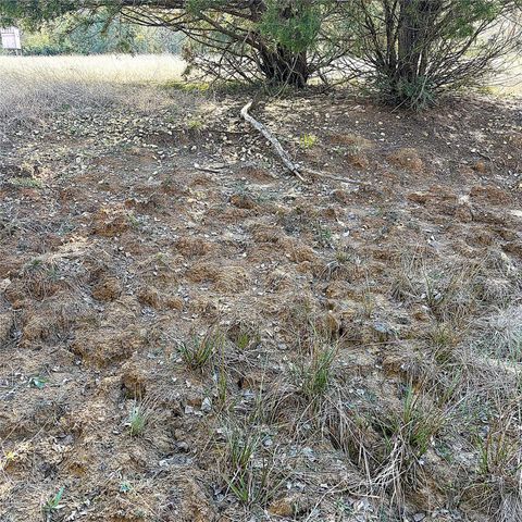 00000 Cr 102, Leona, TX 75850