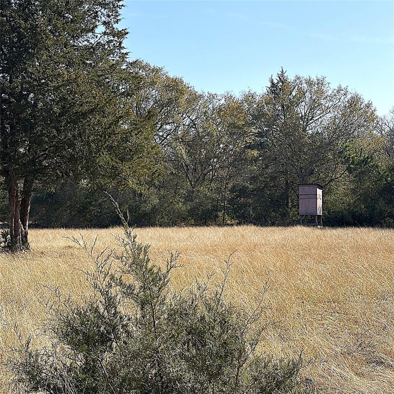 00000 Cr 102, Leona, TX 75850