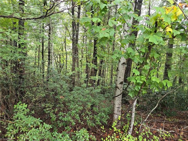 0 Waterside Drive, Lake Lure, NC 28746