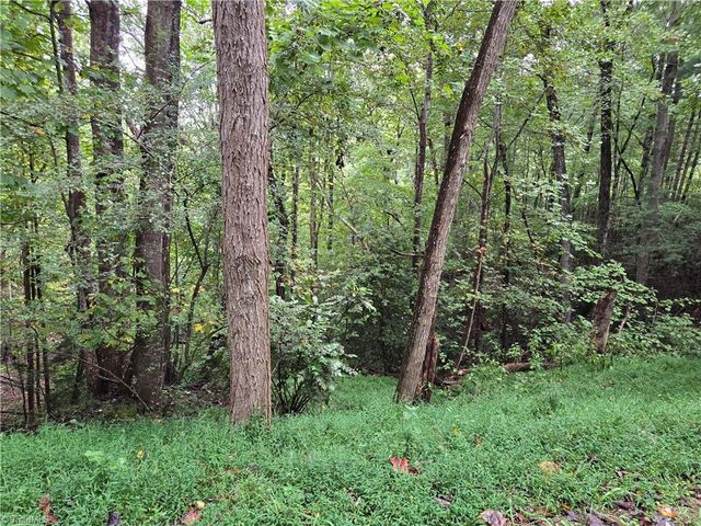 0 Waterside Drive, Lake Lure, NC 28746