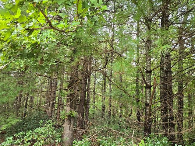 0 Waterside Drive, Lake Lure, NC 28746