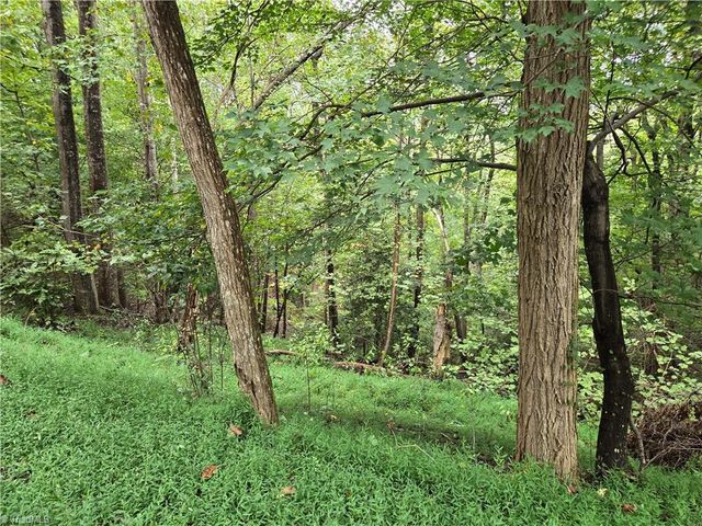 0 Waterside Drive, Lake Lure, NC 28746