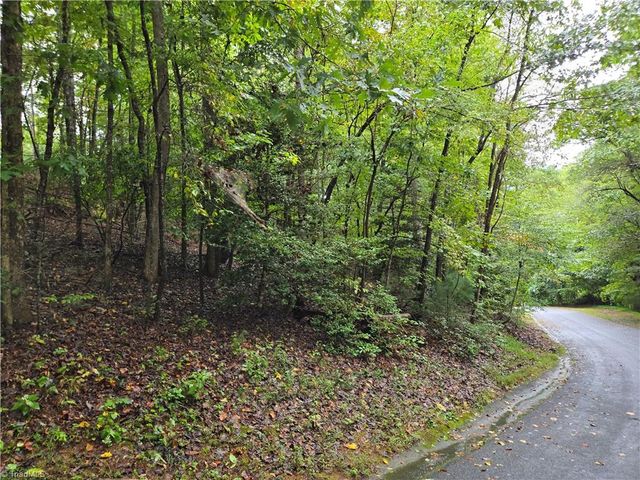 0 Waterside Drive, Lake Lure, NC 28746