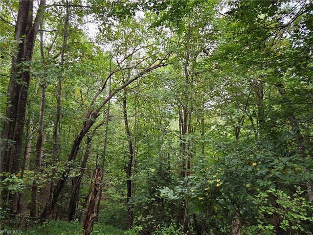 0 Waterside Drive, Lake Lure, NC 28746