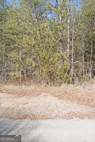 0 Talc Mine Road, Jasper, GA 30143