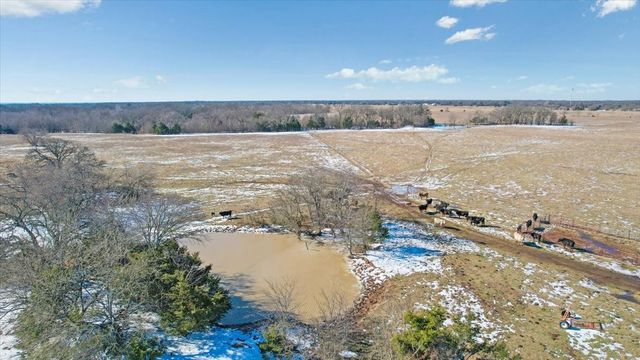 TBD 42.972 Acres FM-1396 Road, Ivanhoe, TX 75447