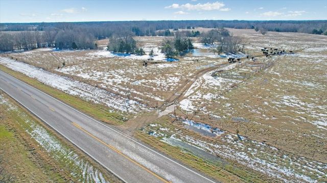 TBD 42.972 Acres FM-1396 Road, Ivanhoe, TX 75447