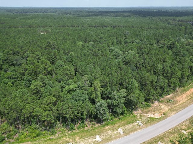 15884 Ridge Oak Road, Willis, TX 77378