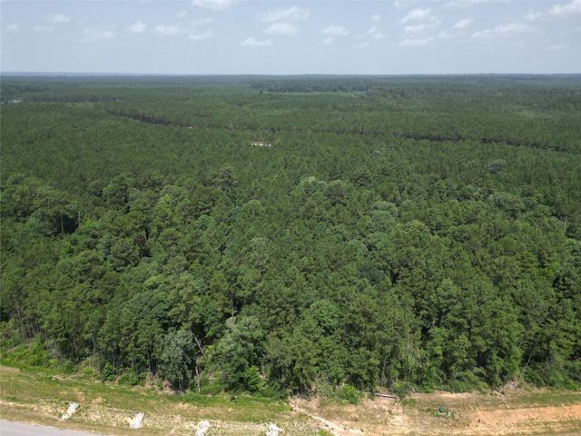 15884 Ridge Oak Road, Willis, TX 77378