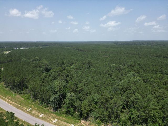 15884 Ridge Oak Road, Willis, TX 77378
