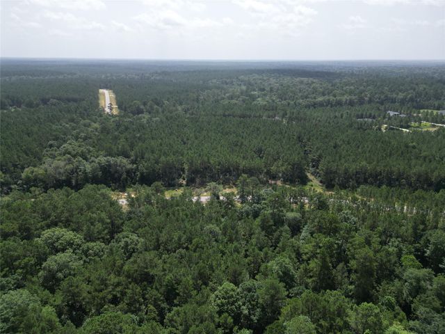 15884 Ridge Oak Road, Willis, TX 77378