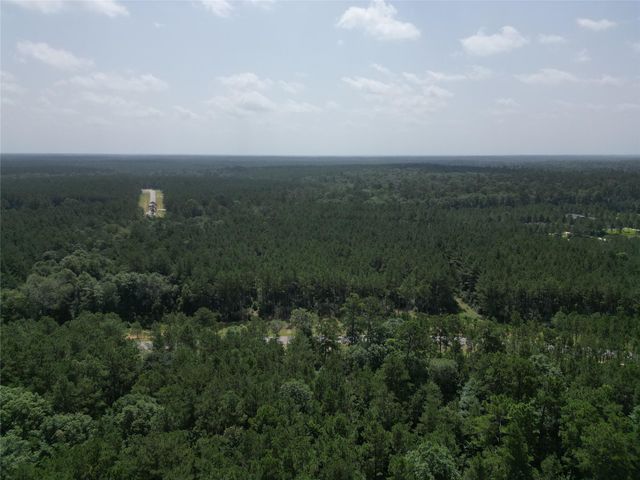 15884 Ridge Oak Road, Willis, TX 77378