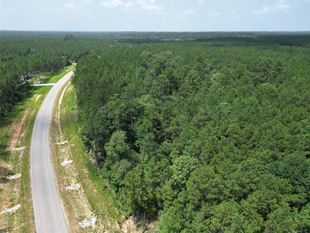 15884 Ridge Oak Road, Willis, TX 77378