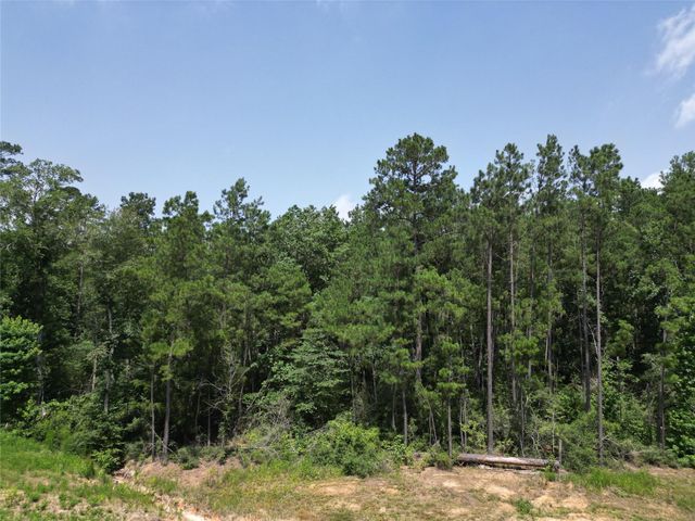 15884 Ridge Oak Road, Willis, TX 77378