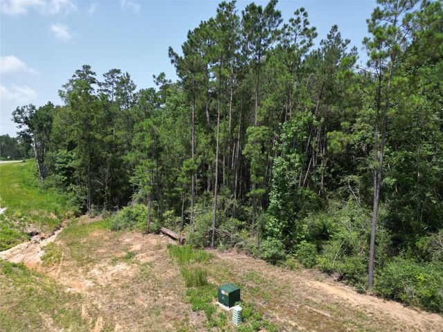 15884 Ridge Oak Road, Willis, TX 77378