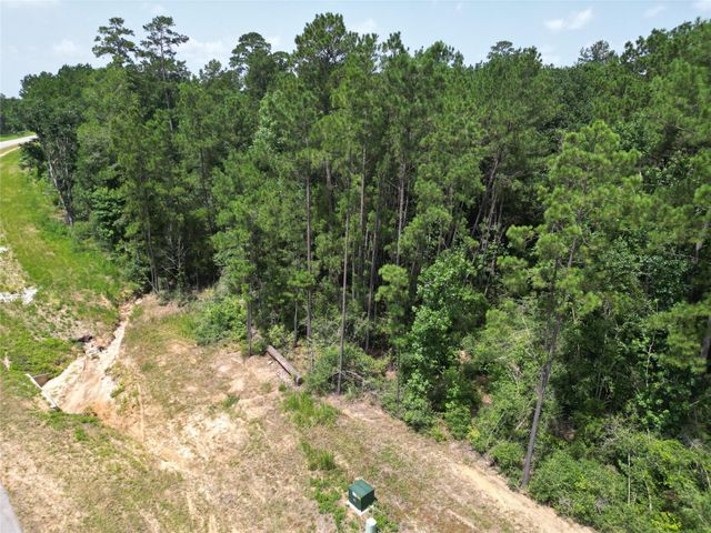 15884 Ridge Oak Road, Willis, TX 77378