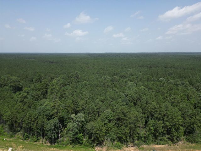 15884 Ridge Oak Road, Willis, TX 77378