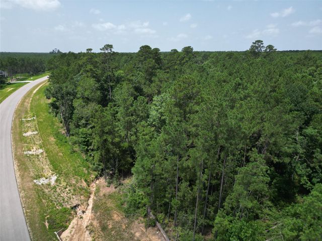15884 Ridge Oak Road, Willis, TX 77378