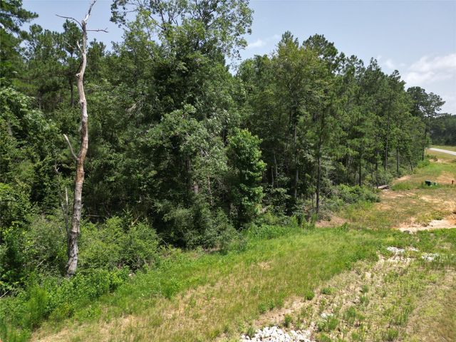 15884 Ridge Oak Road, Willis, TX 77378