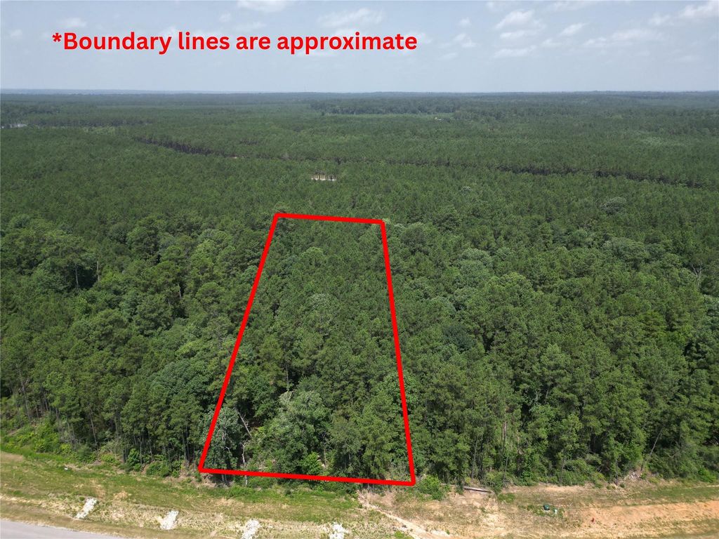 15884 Ridge Oak Road, Willis, TX 77378