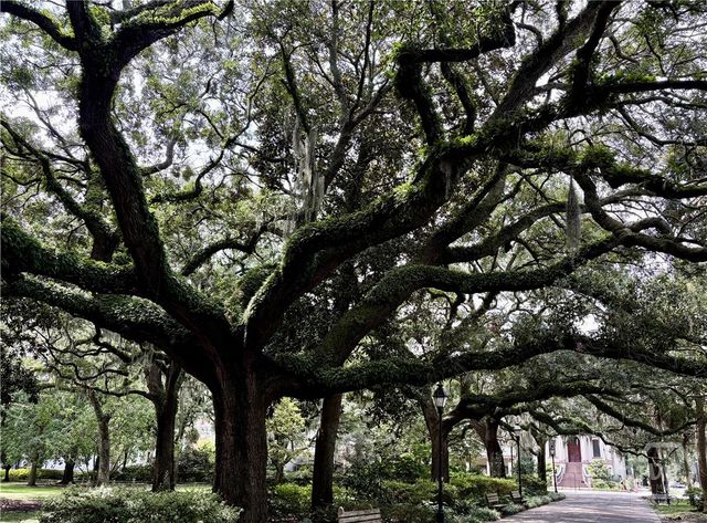 20 W Duffy Street D, Savannah, GA 31401