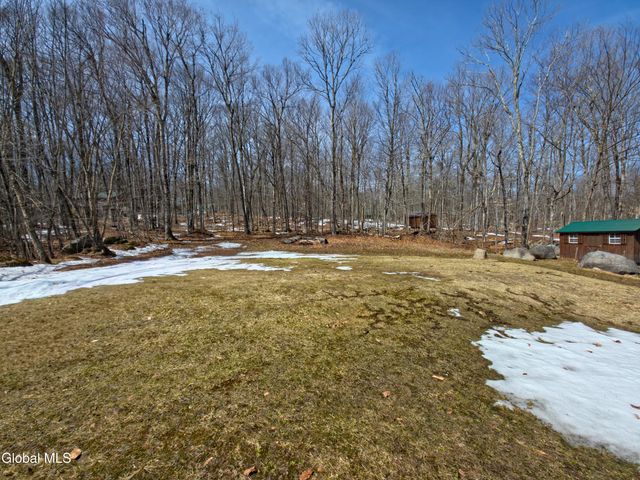 157 Maplewood Drive, Bleecker, NY 12078