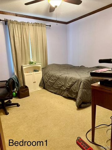 78 Lake Apollo Drive, Hannibal, MO 63401