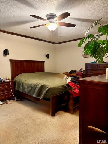 78 Lake Apollo Drive, Hannibal, MO 63401