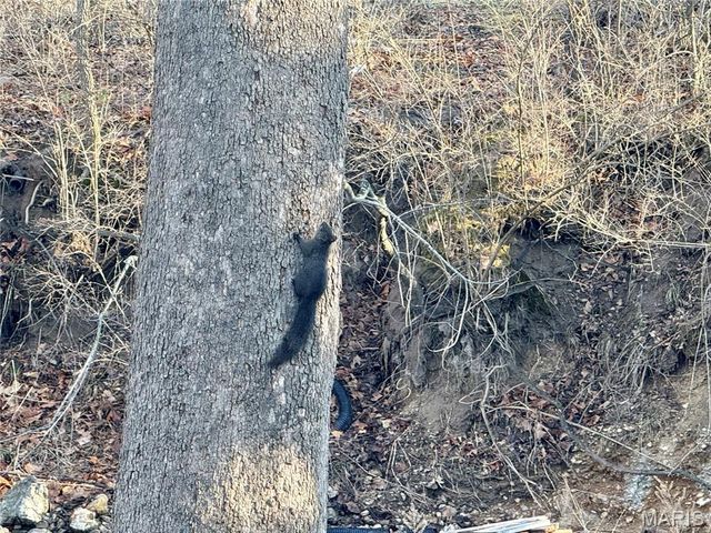 78 Lake Apollo Drive, Hannibal, MO 63401